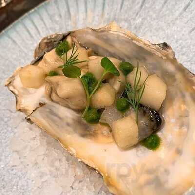 セルサルサーレ