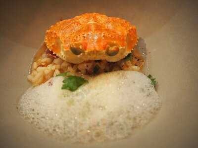 セルサルサーレ