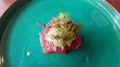 ドーロ ハツダイ