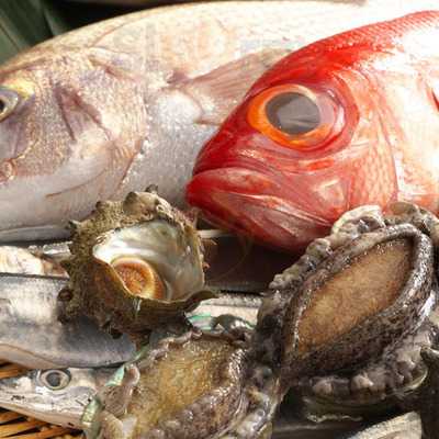 ふらり寿司 名駅本店はなれ