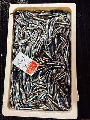 大阪市中央卸売市場本場