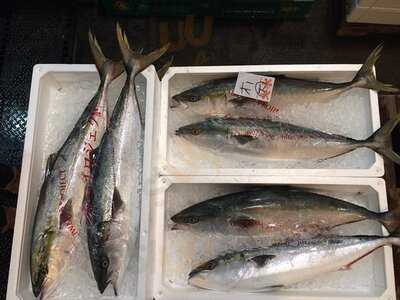 大阪市中央卸売市場本場