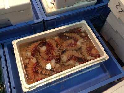 大阪市中央卸売市場本場