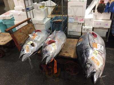 大阪市中央卸売市場本場