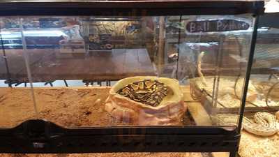 アメリカ村 スネークカフェ