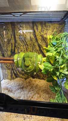 アメリカ村 スネークカフェ