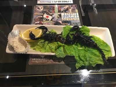 アメリカ村 スネークカフェ