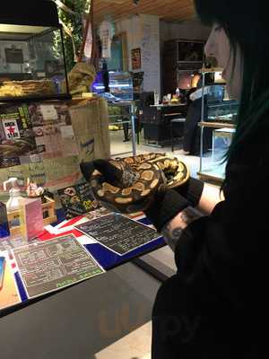 アメリカ村 スネークカフェ