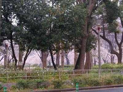 スペインバル バレンシア