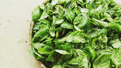 パスト エ リクオール Kamome