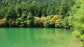 ミッシェル 伊奈ケ湖店