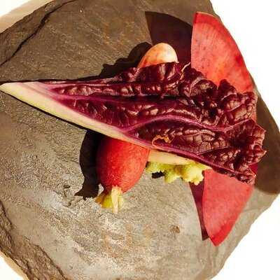 アクアパッツァ