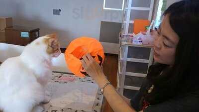 ラグドール なんば店