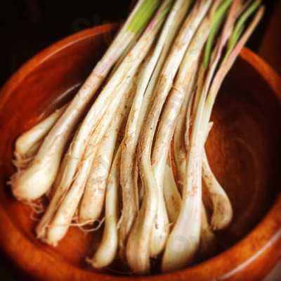 串カツ酒場 福島店