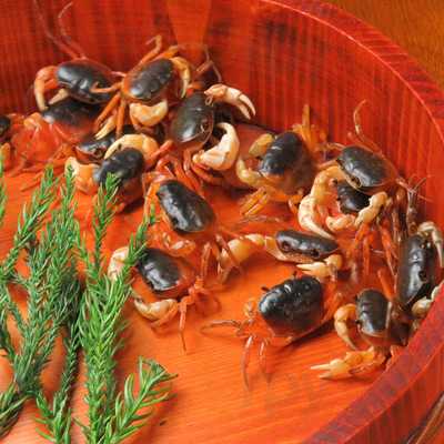 もつ鍋と旨いもん どんたく 本店