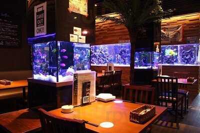 アクアリウムダイニング デイズ