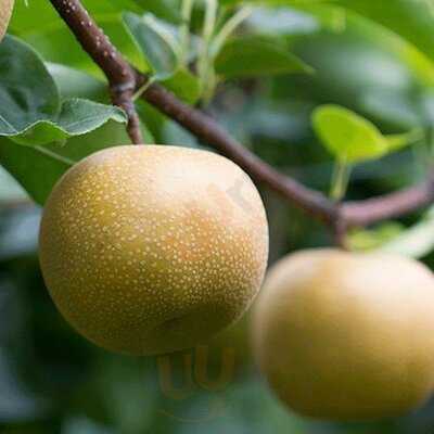 韓日館 宗右衛門町本店