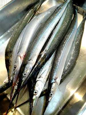 天ぷら処 こさか