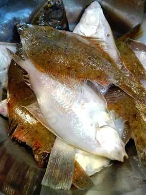 天ぷら処 こさか