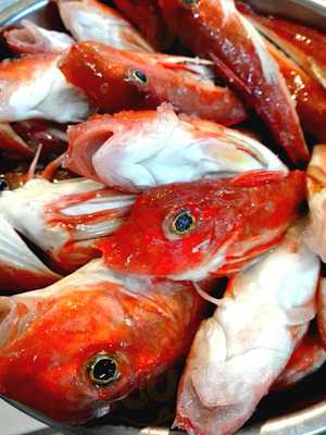 天ぷら処 こさか