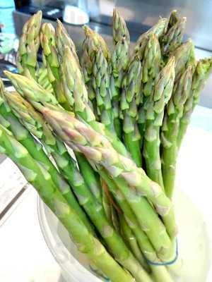 天ぷら処 こさか