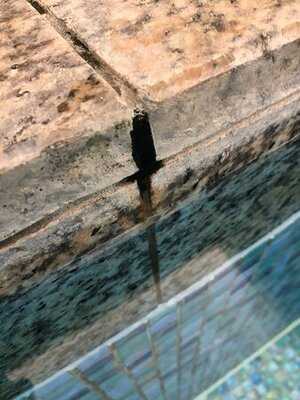 肉バル Gaburi 梅田駅前店