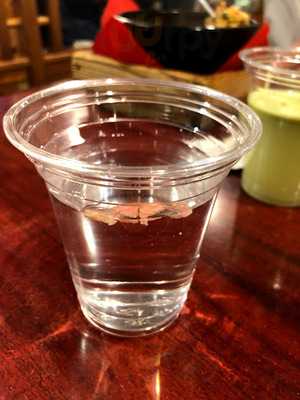 民芸肉料理はや阿倍野アポロビル店