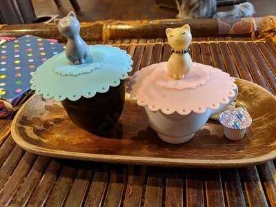 猫cafeぐるぐる堂