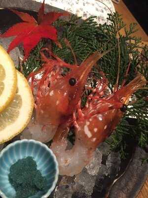 旬魚菜 磯一 西梅田