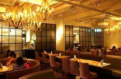 ツェープラス（cプラス）