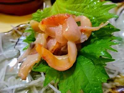 佐兵衛すし 本店