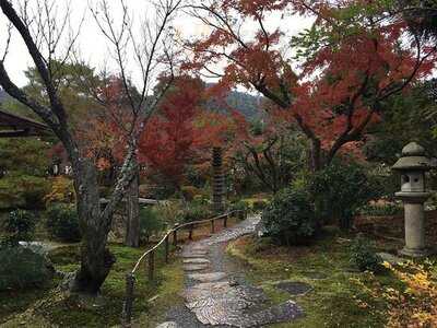 白沙村荘 主家客間 瑞米山