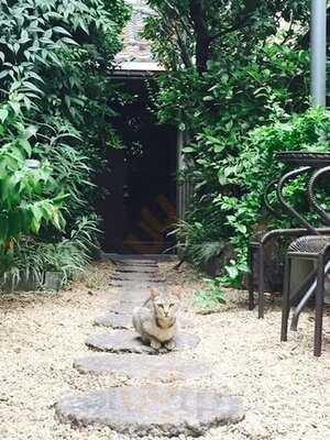 ブラッセリーエール