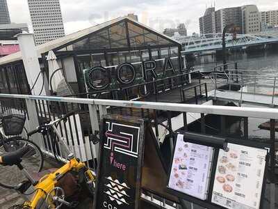 Coral Kitchen At Sea