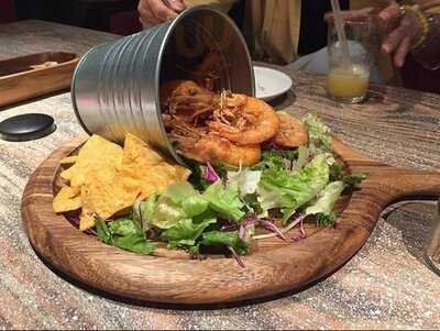 Coral Kitchen At Sea