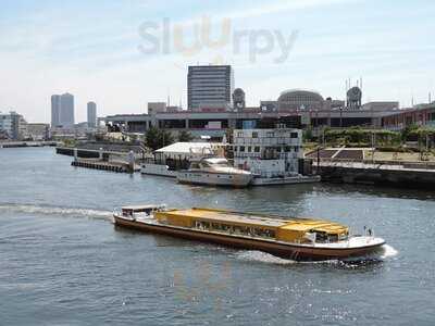 Coral Kitchen At Sea