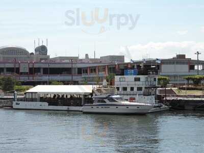 Coral Kitchen At Sea