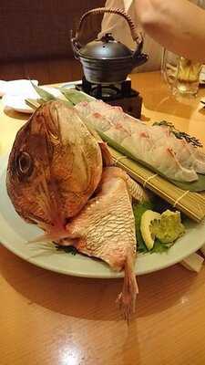 魚河岸料理 ざこば