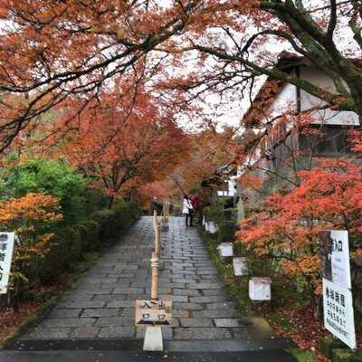 曼殊院門跡 弁天茶屋