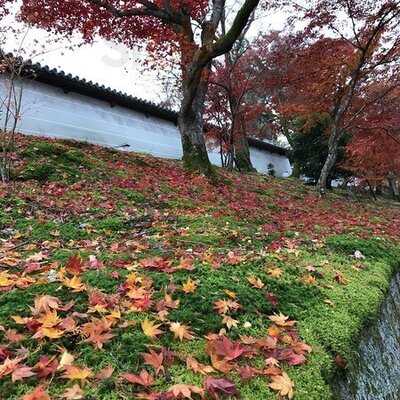 曼殊院門跡 弁天茶屋