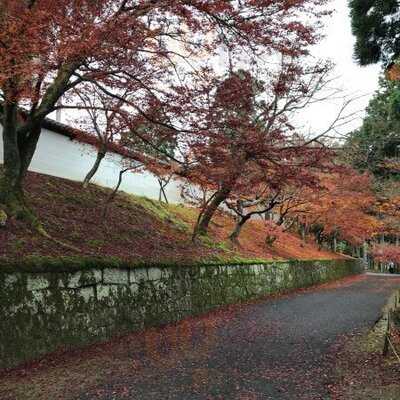 曼殊院門跡 弁天茶屋