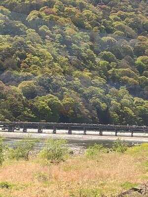 レストラン嵐山