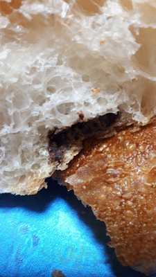 ぱんだより ノドカ