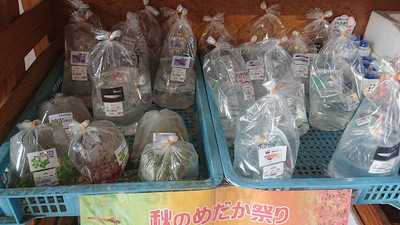 ウッディ京北 喫茶部