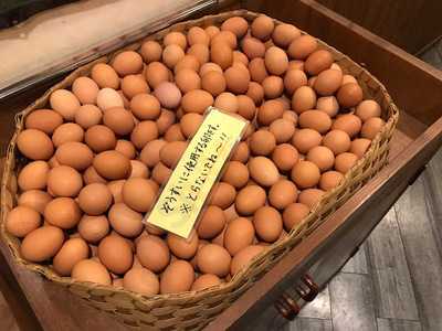 ぞうすいの店 ひよこ家