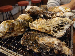 かき小屋ランドリー