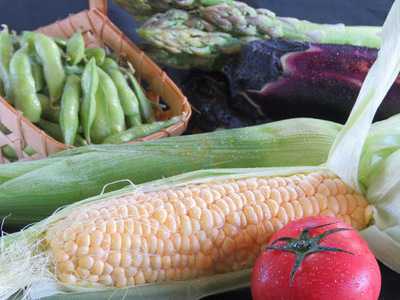 鶏肉料理と新潟地酒 居酒屋ハツ