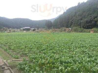 カフェ ミレット