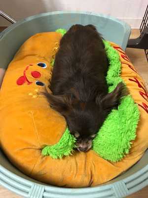 Hogoken Cafe／salon天神橋店