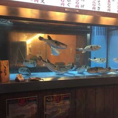 活ふぐ専門料理 とらふぐ屋